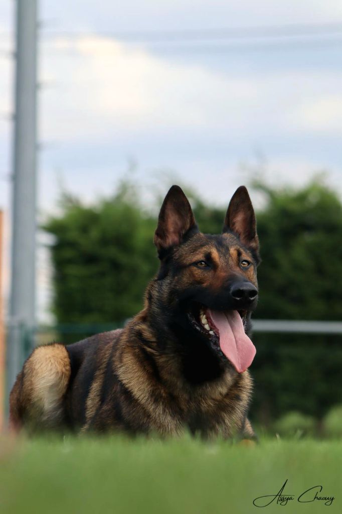 Umex Des Crocs Du Pacot